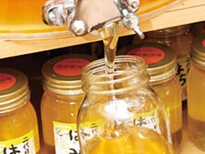 タンクの蛇口をひねると、蜂蜜がとろーり 　　はちみつの量り売りは大好評です