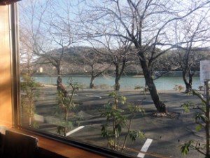 窓から見える都田川と桜並木